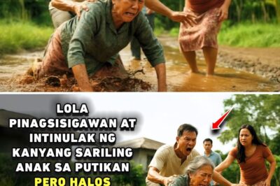 LOLA PINAGSISIGAWAN AT INTINULAK NG KANYANG SARILING ANAK SA PUTIKAN, PERO LUMABAS ANG TESTAMENTO!