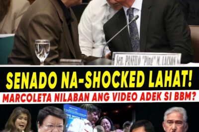 Senate Leadership Left Speechless as Marcoleta Confronts Panel with Imee Marcos’ Shocking “Addiction” Revelation: Is the Administration on the Brink of Collapse?