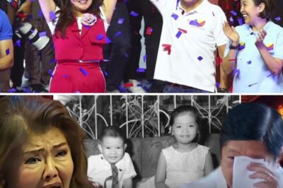 The Tragedy of Power: How President PBBM’s Forgotten Birthday Message Became the Most Heartbreaking Tribute to Senator Imee, Exposing an Unhealable Rift Between the Two Political Giants