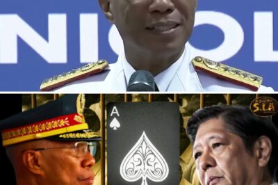 The Return of the Enforcer: Inside the Shocking Rumors That President PBBM is Activating His Strategic “Ace Card,” General Torre, for an Unprecedented High-Stakes Apprehension Mission Against Political and Business Titans