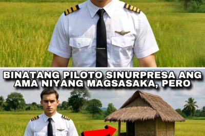 “ANAK, HUWAG KANG BABABA… NAKAKAHIYA AKO, PURO PUTIK ANG DAMIT KO.”