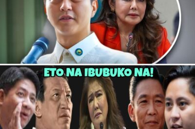 The Dynasty Implodes: Sandro Marcos Reportedly Reached Breaking Point over Aunt Imee’s ‘Betrayal,’ Sparking Rumors of a Shocking Truth Reveal and a Secret VP Plot with the Vice President