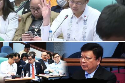 Senate Hearing Erupts into Chaos as Marcoleta Weaponizes Imee Marcos’s Controversial Speech Against the President, Exposing Deep Political Fractures and Stunning the Nation