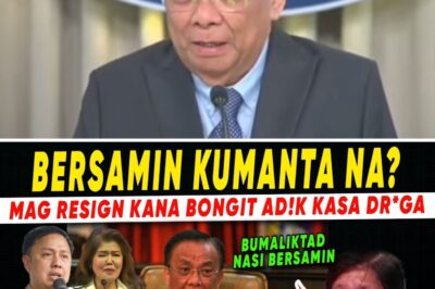 A Political Apocalypse: Palace in Chaos as Bersamin and Budget Secretary Abruptly Resign, While Senator Imee’s Bombshell Allegations of a National Security Crisis and “Criminal Activity” Signal the Administration’s Final Collapse