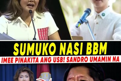 The Palace Under Siege: Imee’s “Nuclear” Challenge, the USB Mystery, and the Demand for a Live Hair Follicle Test