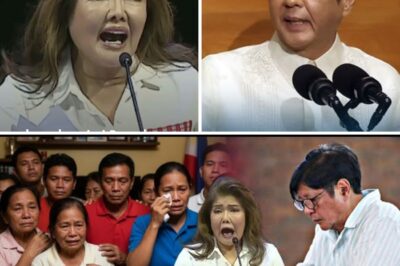 The Great Backfire: How a Shocking Public Betrayal and a Forgotten Sacrifice Have Suddenly Turned the Tide of Public Sympathy Toward President Marcos