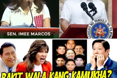 Explosive Family Secrets Unveiled: Imee Marcos Reportedly Exposes Shocking Details While Marcoleta and Jinggoy Grill Controversial Figure Over a Mysterious Paternity Scandal and Alleged Illicit Affairs