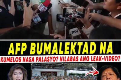 Military Movement and Impeachment Rumors Explode as President Faces Potential Legal Crisis Following Senator Imee’s Shocking Admission While VP Sara Prepares for Court Battle