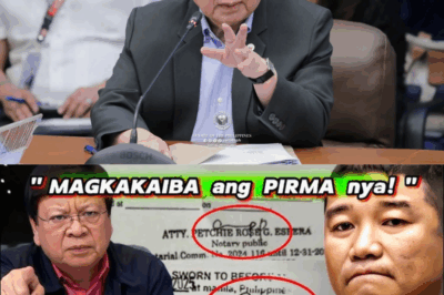 PAALALA: Ang lahat ng nilalaman sa ibaba ay huwad/hulma lang, dramatikong investigative fiction. Wala itong kinalaman sa tunay na tao o opisyal.