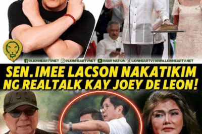 JOEY DE LEON BINUKING SI IMEE MARCOS‼️ 😱 Misteryosong Dokumento at Video, Direkta mula sa Malacañang, Lumulutang! Paano Ito Makakaapekto kay BBM?