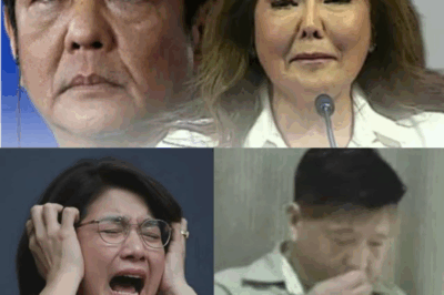 PASABOG SA DEPENSA! Lihim na Banggaan nina Sen. Imee at PBBM LUMUTANG — Ante Kler Aburido, May Naitagong Dokumento? Power Struggle Uminit Habang ‘Lulong sa Pulvoron’ ang Palasyo!