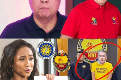 BOMGANG BALITA! Rochelle Pangilinan, NAGKASO sa COMELEC at NBI — Eksklusibong Dokumento Lumabas! 😱