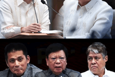 KUNG BAKIT BIGLANG TUMAHIMIK SI ROBIN: ANG LIHIM NA HINDI DAPAT NALAMAN NG PUBLIKO