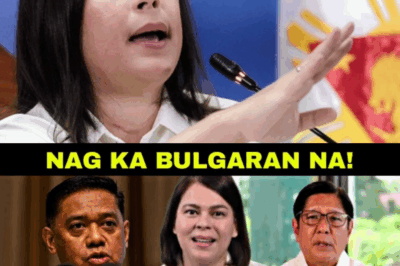 SHOCKING! Mas lumalakas ang umiikot na bulong-bulungan tungkol kay Vice President Sara Duterte matapos kumalat ang alegasyong may ‘misteryosong transaksiyon’…