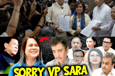 KARMA NA BA ITO? Ang Biglaang Paglaho ni Stella Quimbo at ang Misteryosong ’Karma Files’ na Nagpayanig sa TuwadCom