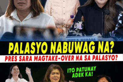Bumagsak ba ang Palasyo? Biglang Pahayag ni Imee Nagpa-uga sa Gobyerno—Sino ang Talagang May Hawak ng Kapangyarihan?