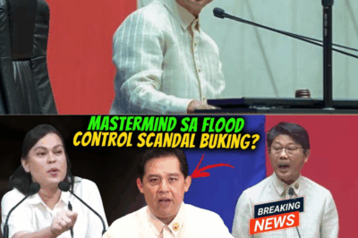 PAGYANIG SA KONGRESO: BOJIE DY KUMANTA, ROMUALDEZ KINABAHAN, AT ANG MGA HINDI NAIPALABAS NA SEGMENT NA NAGPAKULO SA PUBLIKO!