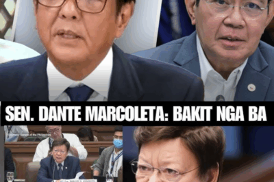 KAYA PALA MATUNOG ANG PANGALAN NI SENADOR LAREZ: LIHIM NA NAGPAALOG SA BUONG SENADO AT BANSA