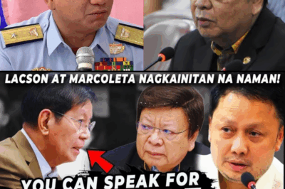 YOU CAN SPEAK FOR YOURSELF!” – Ang Sigaw na Nagpayanig sa Hearing: Sa Likod ng Mikropono, May Mas Malalim na Laban