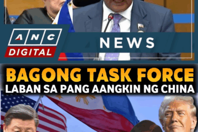 EXCLUSIVE INVESTIGATIVE REPORT: ANG LIHIM SA LIKOD NG “JOINT TASK FORCE” NG PILIPINAS AT AMERIKA — AT ANG 5 CHINESE WARSHIPS NA NAGPAKITA SA DAGAT!