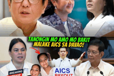 WHEN QUESTIONS TURN INTO SPOTLIGHTS: BAKIT LUMAKI ANG AICS SA DAVAO, AT BAKIT ANG SAGOT NG VP KAY PING ANG NAGPASABOG NG USAPAN?