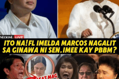 ANG GABI NA UMIUGA SA MANSYON: ANG DI-INAASAHANG SAGUPAAN NINA ‘FL’, IMEE, AT ISANG GUEST NA NAPA-TAHIMIK SA ISANG IGAPO