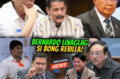 EXCLUSIVE: JINGGOY REVILLA, BINAY, CHIZ, GRACE POE—NAKITA, NABANGGIT LAHAT, PERO SI ROMUALDEZ? WALANG ISANG SALITA! ANG LIHIM SA LIKOD NG PANGYAYARI NA NAGPALIPANA SA BUONG BANSA