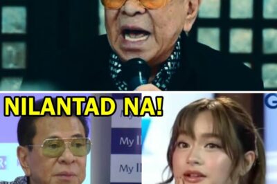 THE CLASH OF TRUTH: CHAVIT SINGSON’S AIDE ALLEGEDLY CONFIRMS ‘RELATIONSHIP’ WITH JILLIAN WARD, DIRECTLY CONTRADICTING ACTRESS’S TEARFUL, LEGAL DENIAL