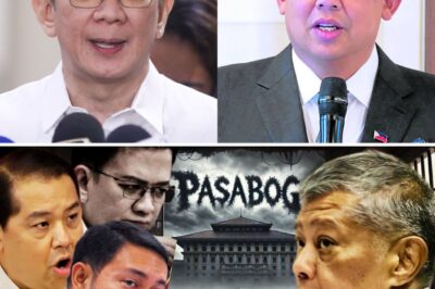 THE TRIFECTA OF DOUBT: Bombshell Allegations Link Romualdez, Escudero, and Villar to Massive Corruption Web