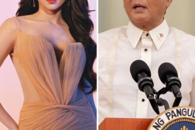 The Unscripted Crisis: Did a Philippine Movie Star Just Expose How Public Service Has Become a High-Budget Photo Shoot?