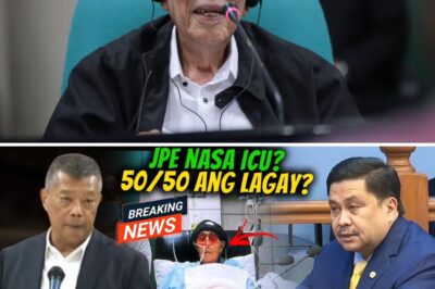 JPE “Critical,” or Is It Public Trust? The “Ombudsman Kuryente” Faces Backlash for “Political Theater”