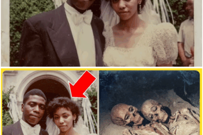 Hotel Room na “Out of Order” sa Loob ng 41 Taon — Renovation ang Nagbunyag sa Mag-Asawang Hindi Kailanman Nag-Check Out