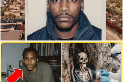 Nalugmok ang Chainsaw ng Babaeng Logger sa Puno—At ang Natuklasan sa Loob Nito ang Nagbukas sa 29-Taong Misteryo