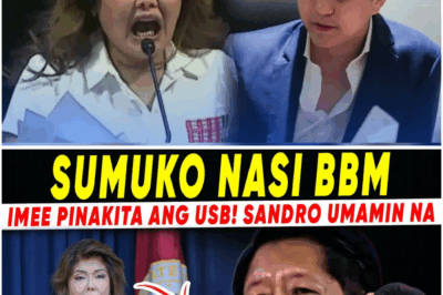 Sandro Kakasa Sumuko sa Hair Follicle Test? USB ng Imee Marcos, Pinaniniwalaang May Malaking Papel sa Kaganapan