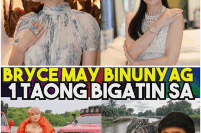 Hala?! Mga proyekto sa Bulacan pa-show lang daw? Si “Madam L” umano ang nasa likod ng lahat, ayon sa ulat ng Bilyonaryo Channel