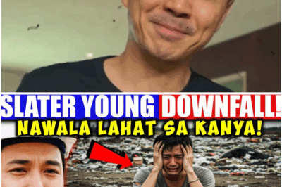 Slater Young, dumaan sa mabigat na pagsubok: Ano ang tunay na nangyari sa biglaang “pagbagsak” na pinag-uusapan?