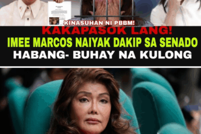 Ang Walang Katulad na Pagbagsak: Mga Detalye sa Nakakagulat na Balitang Pag-aresto kay Senador Imee Marcos, Kinansela ang Imunidad, May Kasong Inihanda ng Kampo ni Pangulong Marcos Jr.