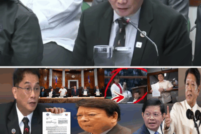 Ang Pagsambulat ng Katotohanan: ‘Yari Na’ si Marcoleta? Ang Awtomatikong Pagtatapos sa Pulitika Matapos Tumestigo si Atty. Richard Fadullon ng DOJ