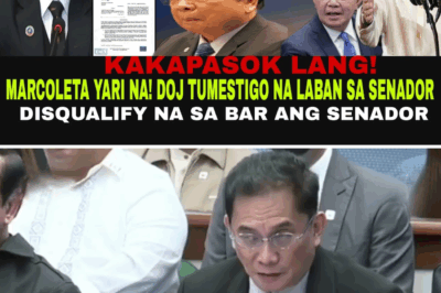 Ang Boses ng Hustisya: Agarang Pag-amin ng Sistema Matapos Tumestigo si DOJ Atty. Richard Fadullon, Hudyat ng Pagtatapos ng Kaso ni Marcoleta