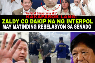 Yumanig sa Kapangyarihan: Dinakip ng ICC Interpol si Zaldy Co, Handa nang Ilantad ang Matitinding Rebelasyon na Babangga kay Pangulong PBBM at Senado