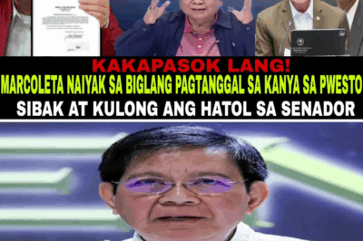 Ang Walang Habas na Hatol ng Digital na Korte: Pagsusuri sa Viral na Balitang “Dakip” at ang Panganib ng Maling Impormasyon sa Pulitika