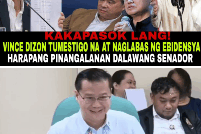 Witness Turns Key: Former Secretary Vince Dizon’s Explosive Testimony Irrevocably Links Senators Bong Go and Villanueva to Multi-Billion Peso Fraud