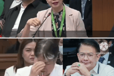LandBank, Tumestigo Laban kay Senador Escudero—”Yari Na” sa Likod ng Bilyong Pisong Loan Fraud