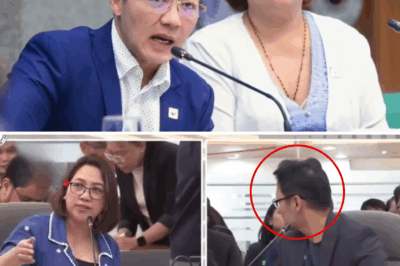 BUMAGSAK NA! MGA SENADOR VILLANUEVA, ESCUDERO, ESTRADA, NADAMAY SA TESTIMONYA NG DISCAYA SA DPWH SCAM!