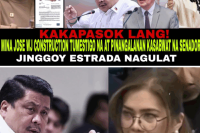 PINAKA-NAKAKAGULANTANG NA TESTIMONYA! SENADOR JINGGOY ESTRADA, HINAMON NG BAGONG WITNESS NA ALYAS MINA NG WJ CONSTRUCTION!