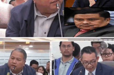 BUMAGSAK NA! MGA SENADOR VILLANUEVA AT ESTRADA, NADAGDAGAN ANG PROBLEMA DAHIL SA TESTIMONYA NI HENRY ALCANTARA!