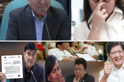 Tulfo, Naglabas ng Nakakagimbal na Ebidensya! VP Sara Duterte, ‘Di Nakaimik sa Pagka-Yari—Ang Biglaang Pagbagsak ng Kapangyarihan