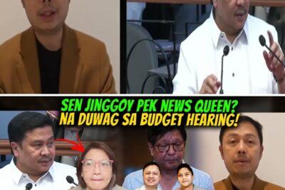 BREAKING: Leaked Confidential Letter Exposes Massive Palace Budget Scandal While Top Official Mysteriously Vanishes Before Senate Showdown