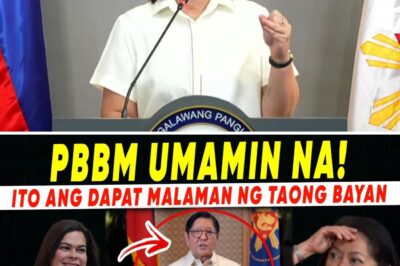 GULANTANG ANG LAHAT: PALASYO, NAGKA-ALAMAN NA? PAG-AMIN SA MEDIA AT HAMON NI IMEE, YUMANIG SA TAONG-BAYAN!