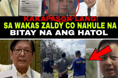 WALA PA RING KATIYAKAN: Zaldy Co, Tumatakas sa Pinas Bilang ‘Fugitive’ sa Japan, Hinarap sa Malaking Kaso ng Graft; PBBM, Naglabas ng Hamon na Harapin ang Kaso